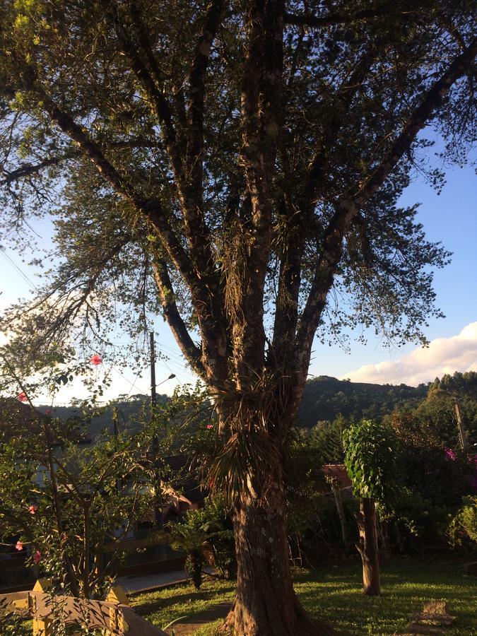 Chales Encanto Suico Monte Verde  Zewnętrze zdjęcie